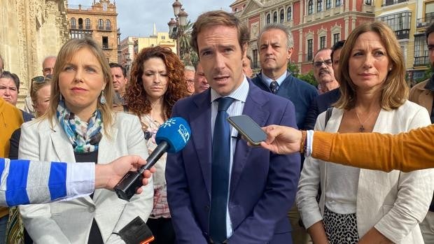 Vox Sevilla solicita protección para su militante agredida en Palmete