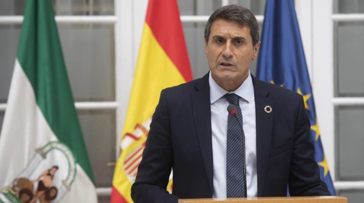 El delegado del Gobierno central en Andalucía, Pedro Fernández