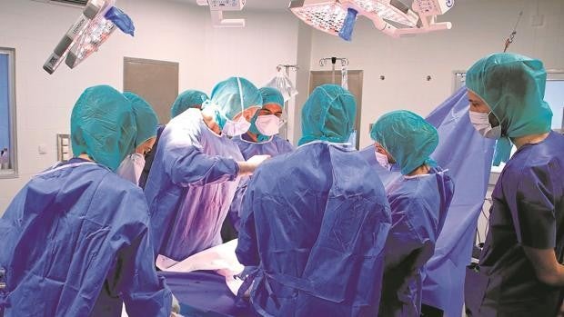 Hito en el Hospital Virgen Macarena: tres donaciones multiorgánicas y multitejidos en seis días