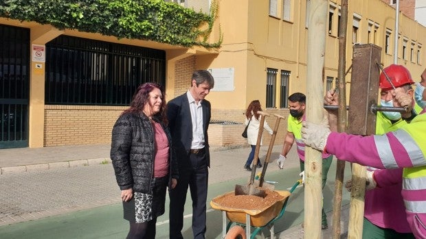 López de Gomara tiene árboles por primera vez para dar sombra