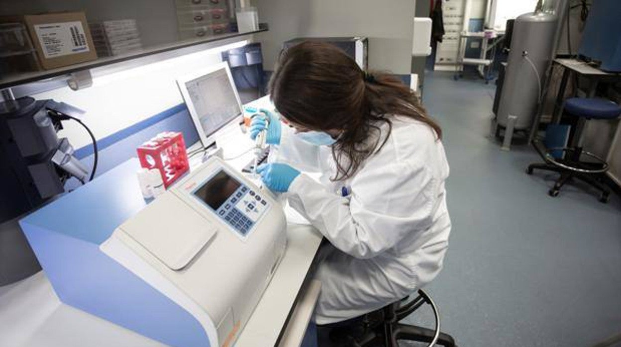 Una investigadora en el Instituto de Biomedicina de Sevilla