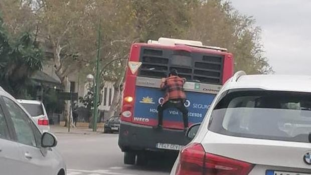 Se cuelga de la parte trasera de un autobús Tussam en marcha como si fuera Spiderman