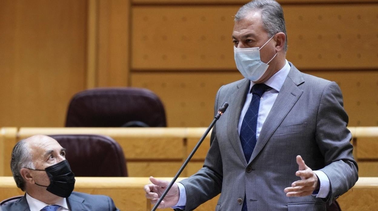 El senador del PP José Luis Sanz durante su intervención en el pleno de la Cámara Alta