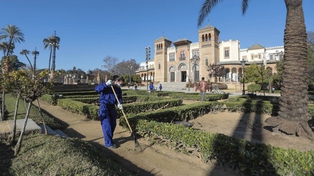 Sevilla tendrá a final de año más de 220 puntos de wifi gratuito en espacios públicos