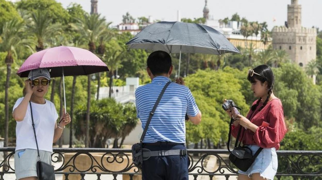 Turistas se protegen del sol en el centro de Sevilla