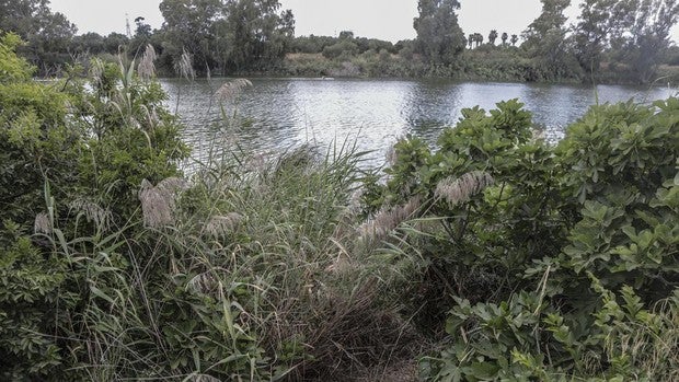 En libertad con cargos las dos detenidas por encubrir el crimen de Virginia, la mujer asesinada y arrojada al Guadalquivir