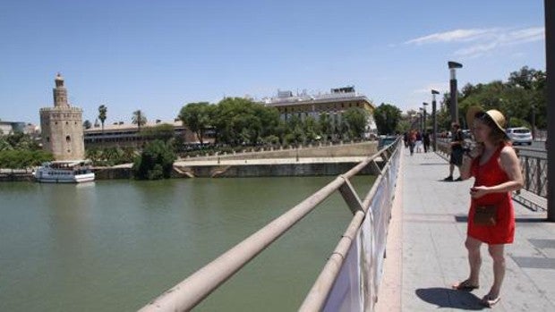 Sevilla destina 100.000 euros para diseñar «elementos de sombra» en los puentes de San Telmo y Los Remedios