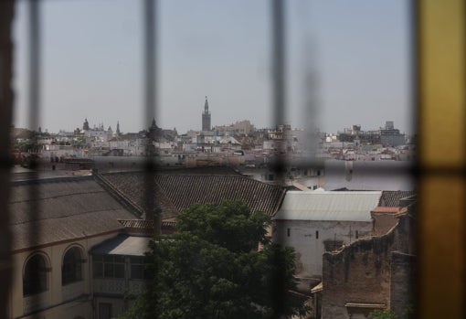 Vista de la Giralda desde la Torre de Don Fadrique