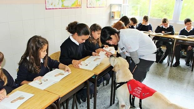 Aprender junto a tu mascota es mejor