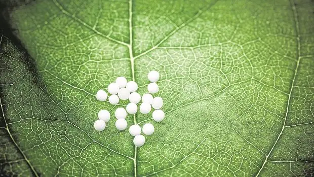La homeopatía se sirve aproximadamente de 3.000 sustancias de origen vegetal,