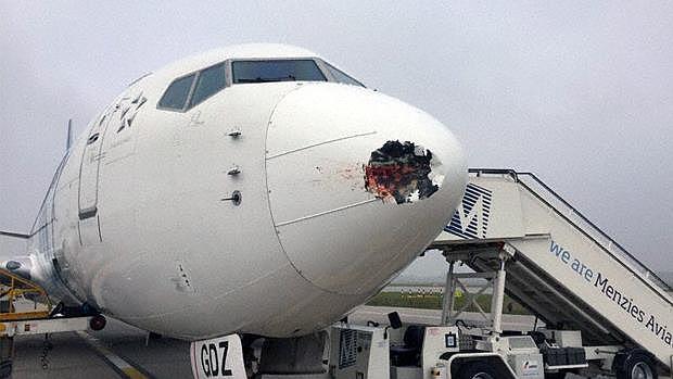 Esto es lo que ocurre cuando un pájaro choca con un avión