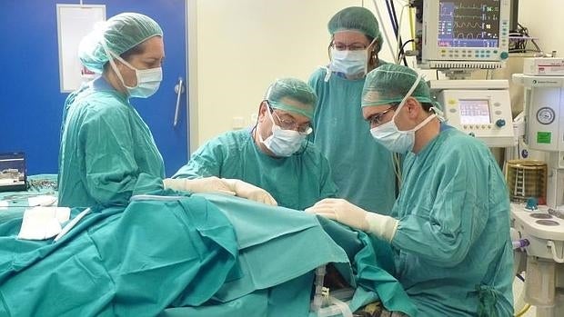 Ya hay 242.840 médicos colegiados en España