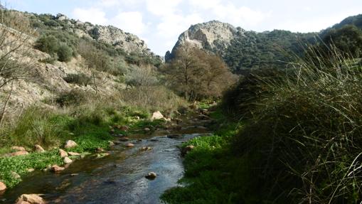 Curso alto del río Almonte