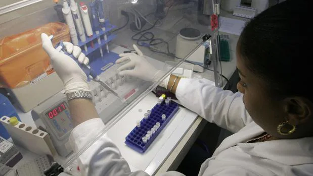 Un equipo de científicos ha desvelado la ruta que siguió el sida para propagarse