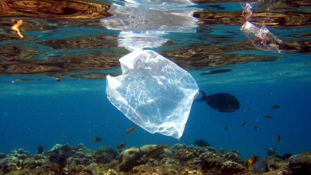 Marruecos prohibe las bolsas por una cuestión medioambiental