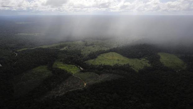 El territorio ocupado por el Amazonas y su selva está amenazado por estos proyectos