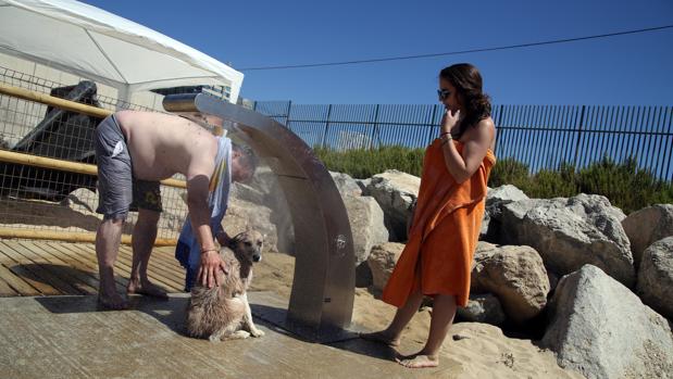 La ducha especial para perros mantendrá limpios a las mascotas en Barcelona