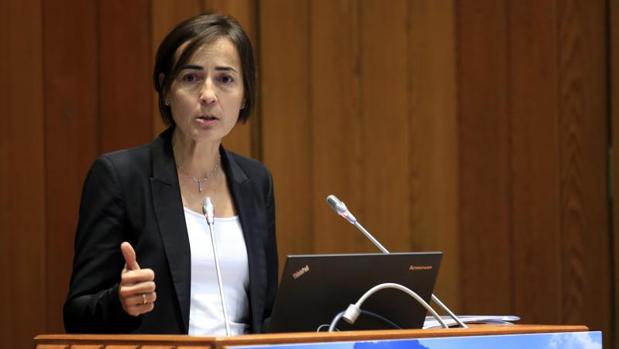 Dimite la directora general de Tráfico, María Seguí