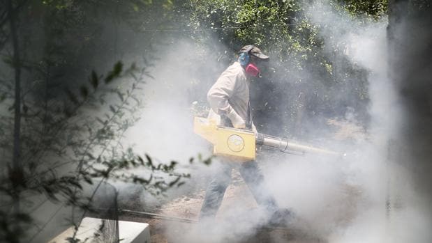 El inspector de mosquitos, Carlos Vara recorre las casas de Miami combatiendo el zika