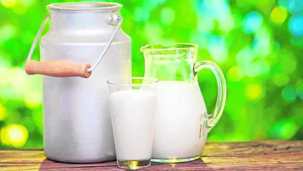 Los distintos tipos de leches vegetales amenazan a la leche tradicional