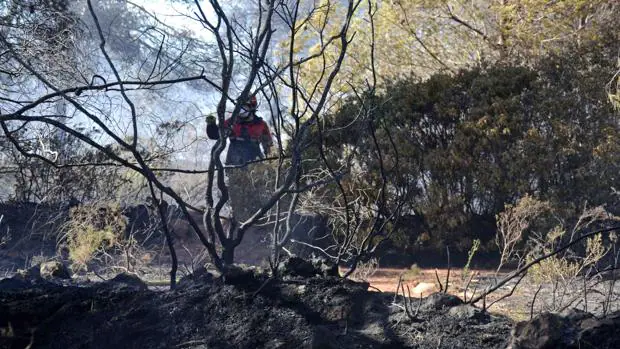 El incendio de Jávea ya ha calcinado 320 hectáreas de monte
