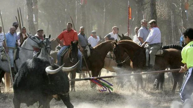 Celebración del torneo medieval de El Toro de la Vega, en Tordesillas (Valladolid)