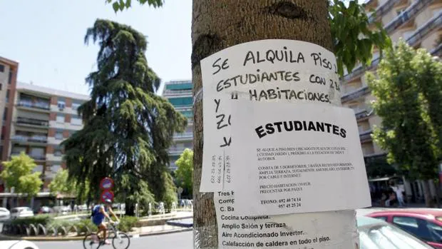 La suciedad y el ruido son para los estudiantes españoles los mayores problemas para convivir