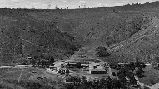 Se cumple un año del mayor desastre ambiental en la historia de Brasil