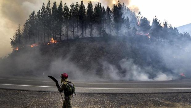 Los incendios forestales calcinaron en 2016 un 22% menos de superficie que el año anterior