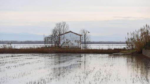 El lago de La Albufera, en Valencia