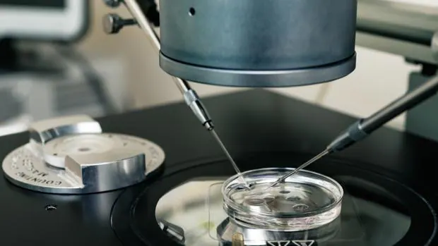 Fecundación «in vitro» en un laboratorio