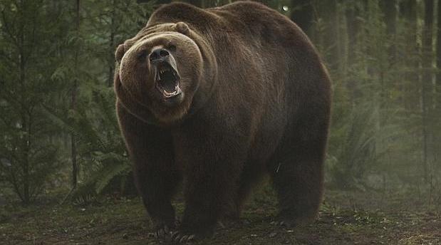 Fotograma de la película «Grizzly»