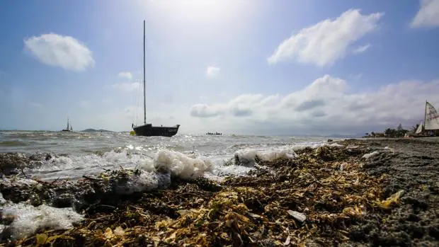 Playa de la Manga del Mar Menor afectada por la contaminación