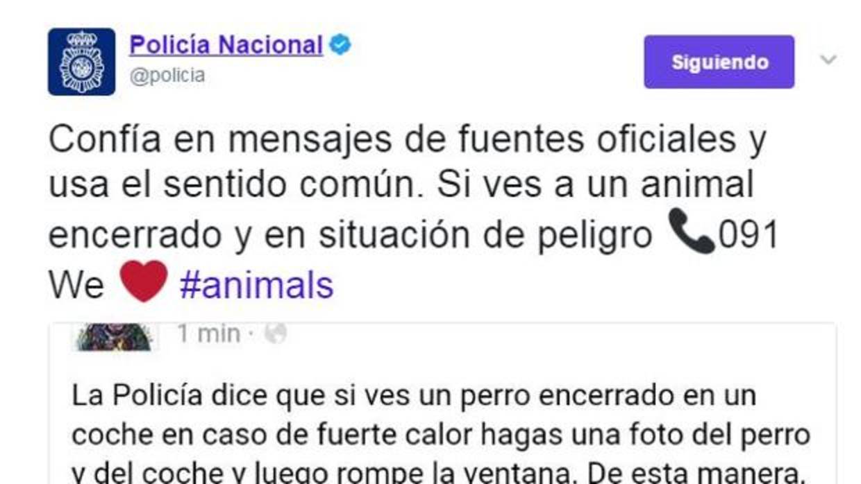 La Policía desmiente que se pueda romper el cristal de un coche si un perro está encerrado en él