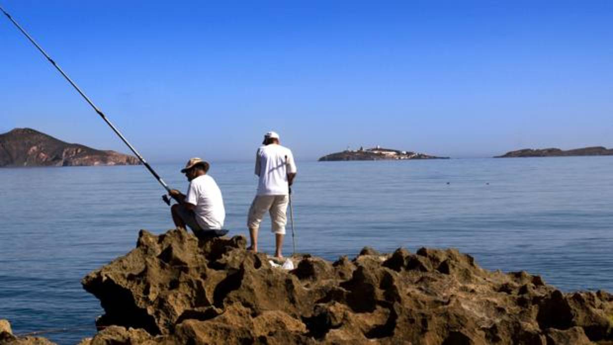 Las islas Chafarinas, al fondo, candidatas a sumarse a la Red Natura