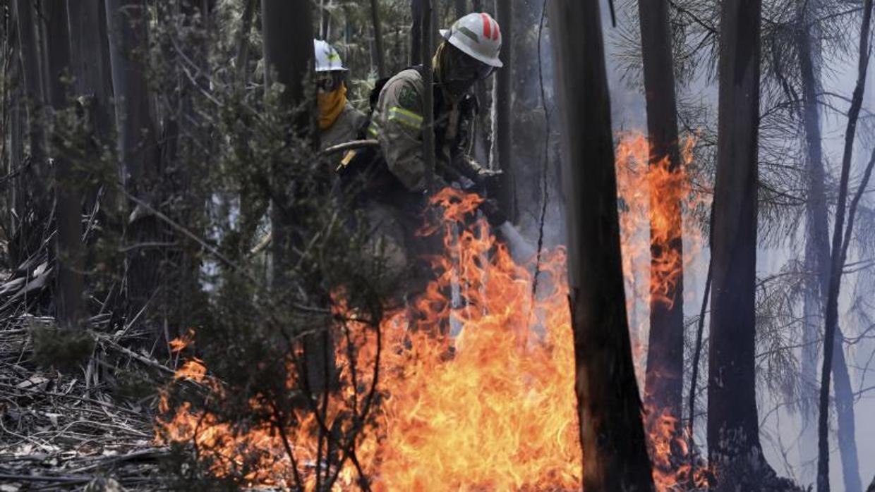 Bomberos extinguen incendio en Portugal