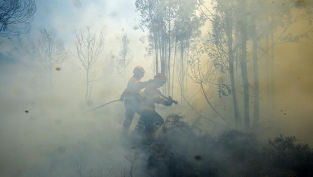 Bomberos luchan contra el fuego en Pedrograo Grande