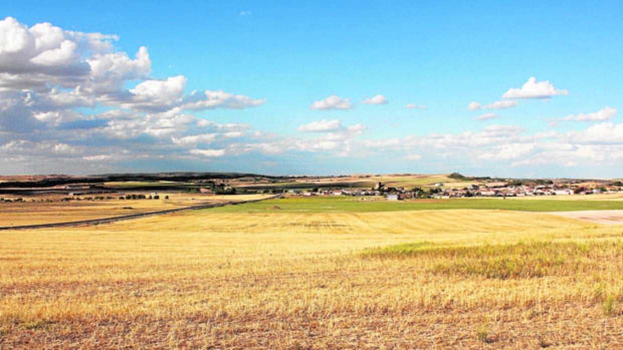 Terrenos de Villar de Cañas donde está previsto construir el almacén nuclear