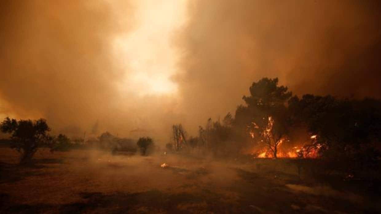 Cuatro grandes fuegos arrasan Portugal