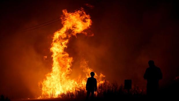 Un guardia forestal, detenido en Portugal por pirómano