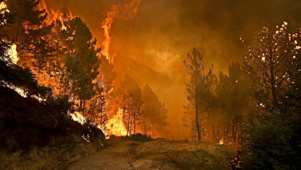 Alerta naranja por incendios en todo Portugal