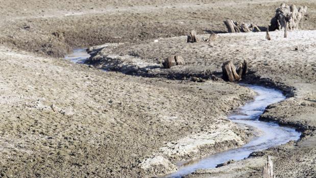 Los embalses siguen perdiendo agua y están al 45% en el año más seco de la década