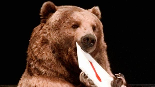 Los osos de Alaska prefieren comer bayas a salmón por el cambio climático