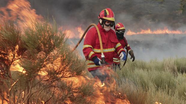 223.275 hectáreas quemadas en Portugal en lo que va de año