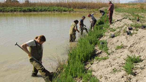 La Fundación BBVA galardona la conservación de la naturaleza