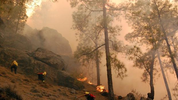 Un incendio «muy agresivo» quema mil hectáreas y obliga a desalojar a 400 personas en Gran Canaria