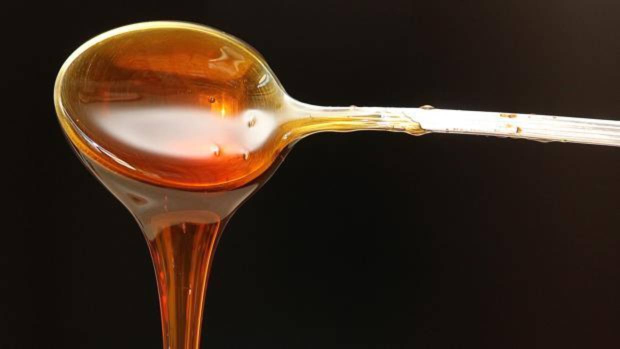 Hallan pesticidas en el 75% de las muestras de miel