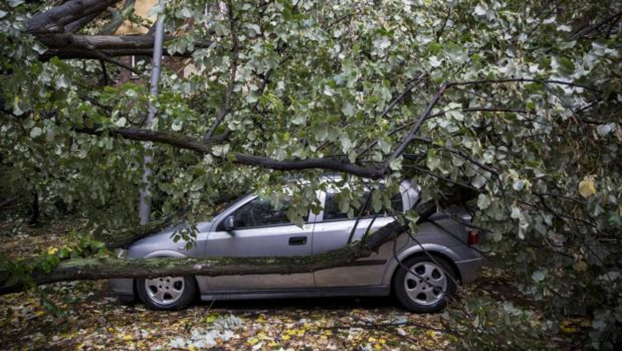 Un árbol caído sobre un vehículo en una calle de Berlín, Alemania