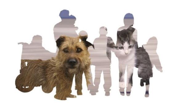 XII Salón para la adopción de animales de compañía de la Comunidad de Madrid