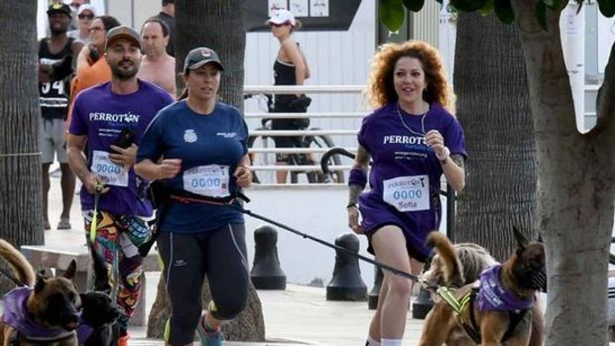 Carrera solidaria por la adopción responsable de animales de compañía